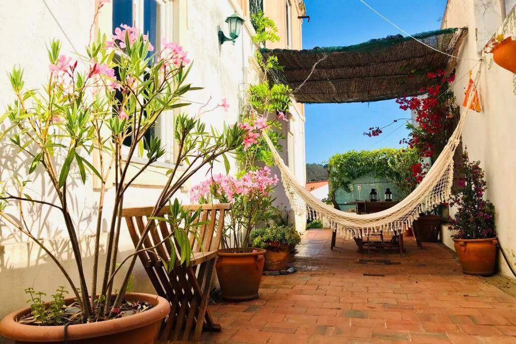 La Casa Flores, Maison Traditionnelle Portugaise Odeceixe Exteriér fotografie